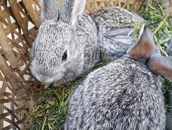 DICE产品经理评前DICE老大工作室新作《ARC Raiders》：除了画面 很一般